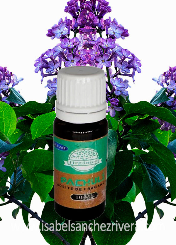 Aceite esencial de Patchouli | Presencia y Equilibrio