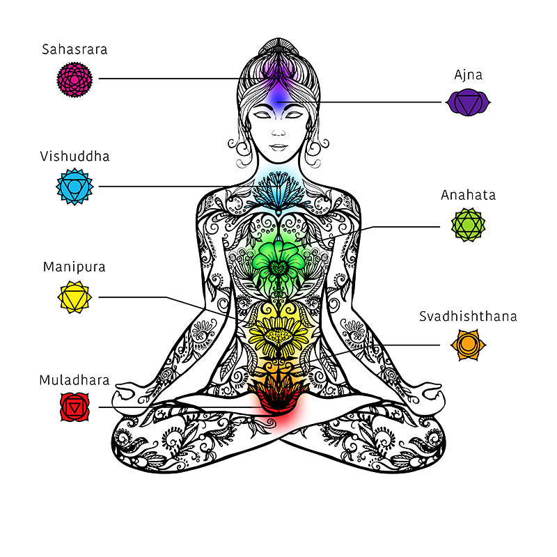 Atado de Salvia Blanca 7 Chakras Smudge