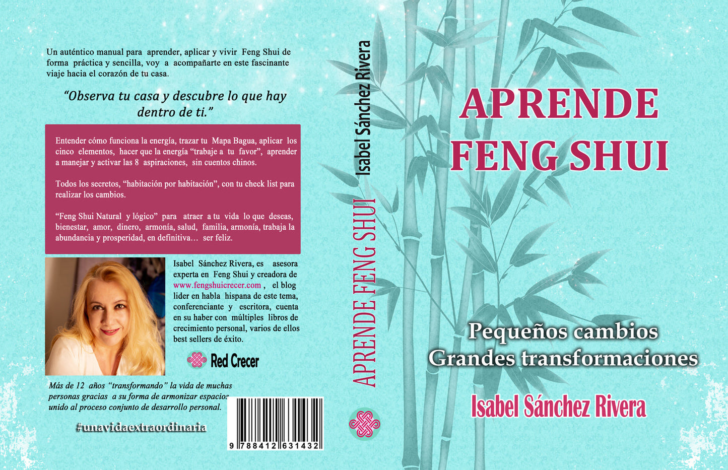 Aprende Feng Shui. Pequeños cambios Grandes Transformaciones en PDF. Ebook DIGITAL