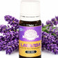 Aceite esencial de Lavanda | Calma y Protección